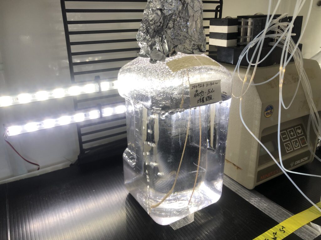 画像に alt 属性が指定されていません。ファイル名: IMG_9762-1-1024x768.jpeg