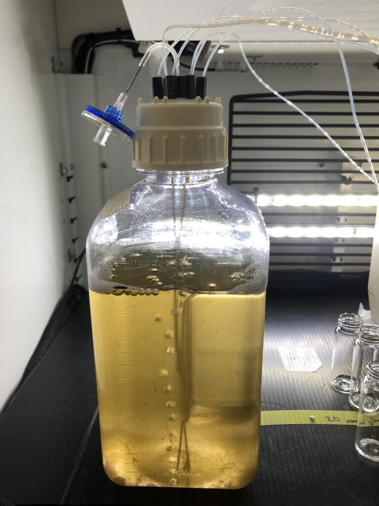 画像に alt 属性が指定されていません。ファイル名: IMG_9789-1-768x1024.jpeg