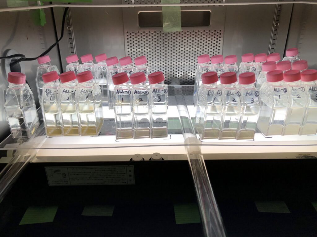 画像に alt 属性が指定されていません。ファイル名: IMG_9955-1024x768.jpeg