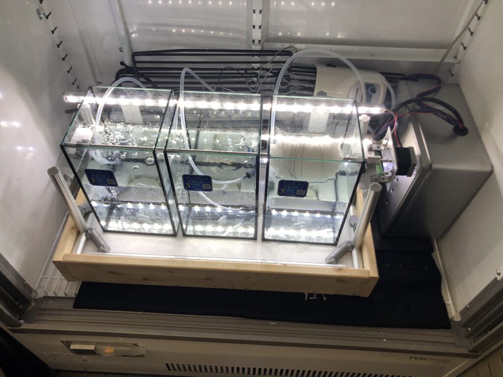 画像に alt 属性が指定されていません。ファイル名: IMG_0028-1024x768.jpeg