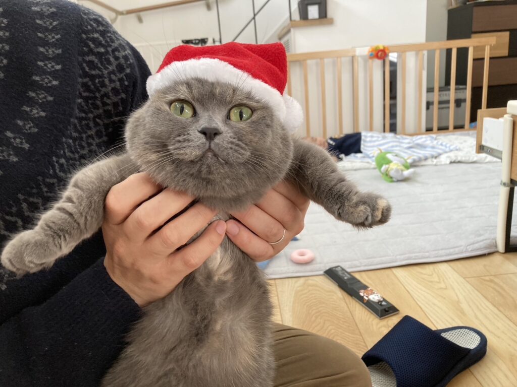 画像に alt 属性が指定されていません。ファイル名: IMG_0053-1-1024x768.jpg