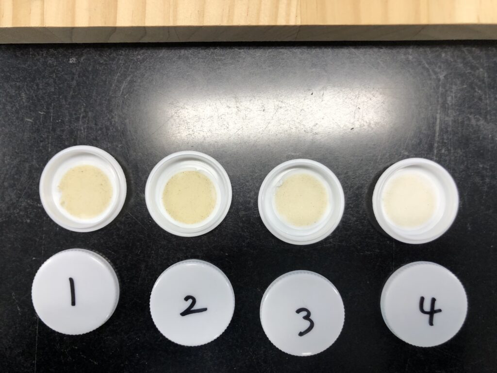 画像に alt 属性が指定されていません。ファイル名: IMG_0062-1024x768.jpeg