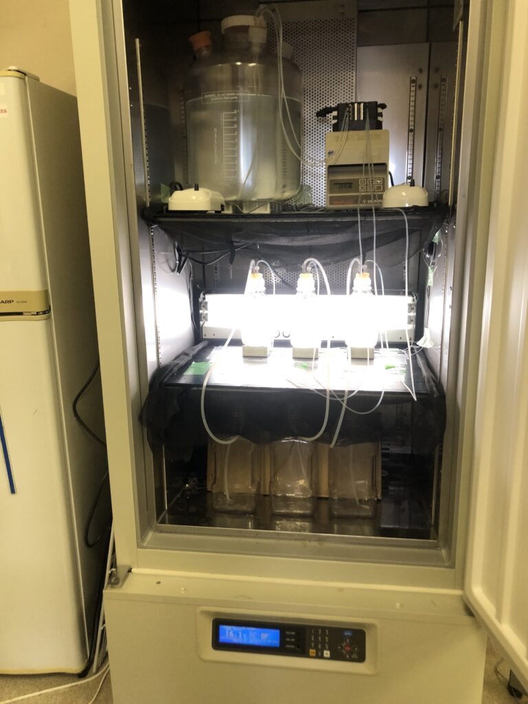 画像に alt 属性が指定されていません。ファイル名: IMG_0153-768x1024.jpeg