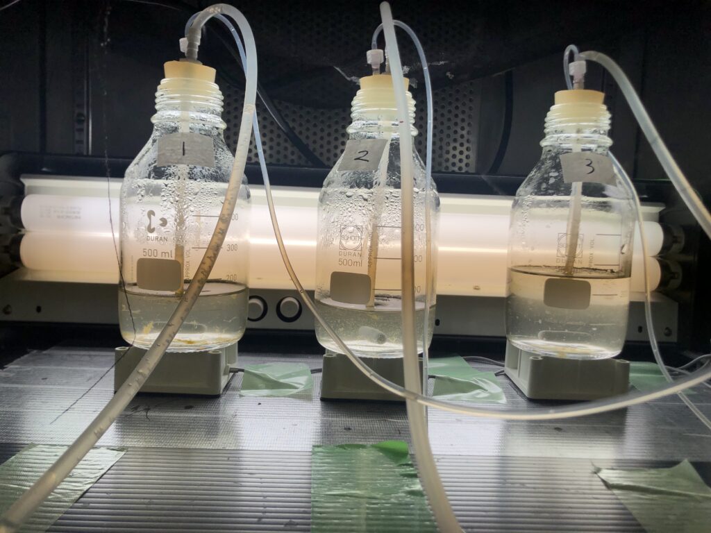 画像に alt 属性が指定されていません。ファイル名: IMG_0172-1024x768.jpeg