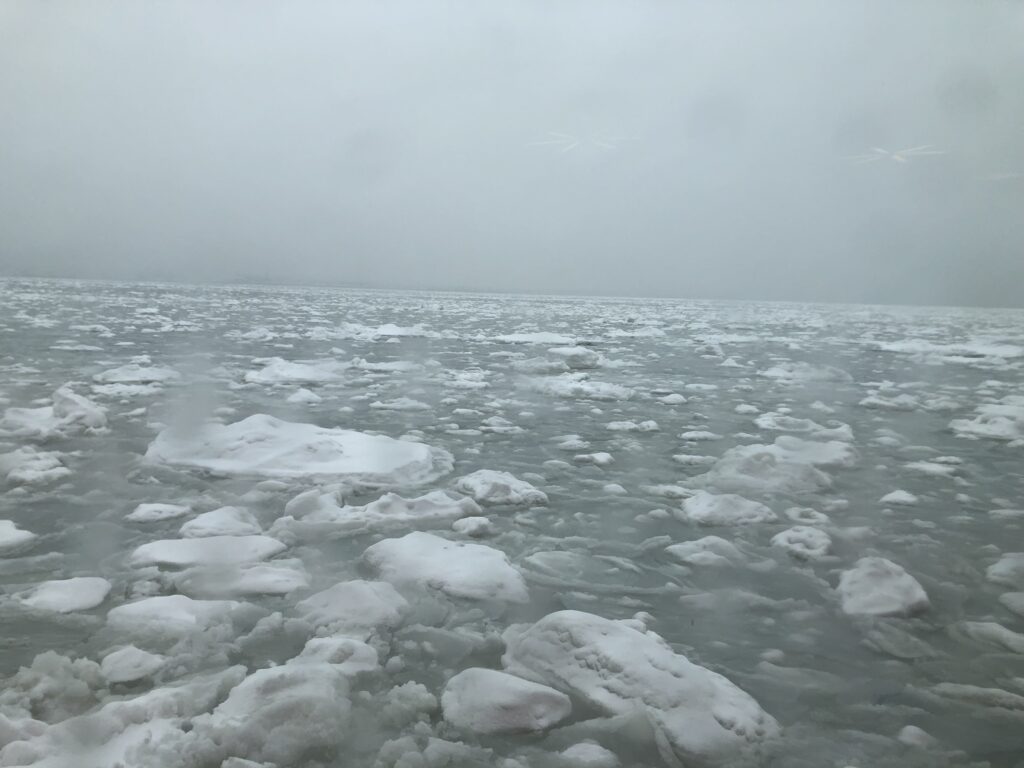 画像に alt 属性が指定されていません。ファイル名: IMG_0398-1024x768.jpeg