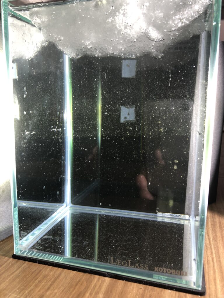 画像に alt 属性が指定されていません。ファイル名: IMG_0489-768x1024.jpeg